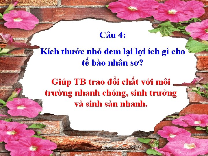 Câu 4: Kích thước nhỏ đem lại lợi ích gì cho tế bào nhân