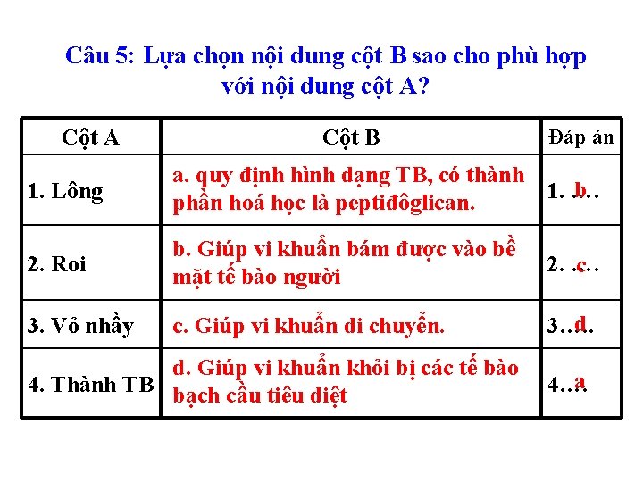 Câu 5: Lựa chọn nội dung cột B sao cho phù hợp với nội