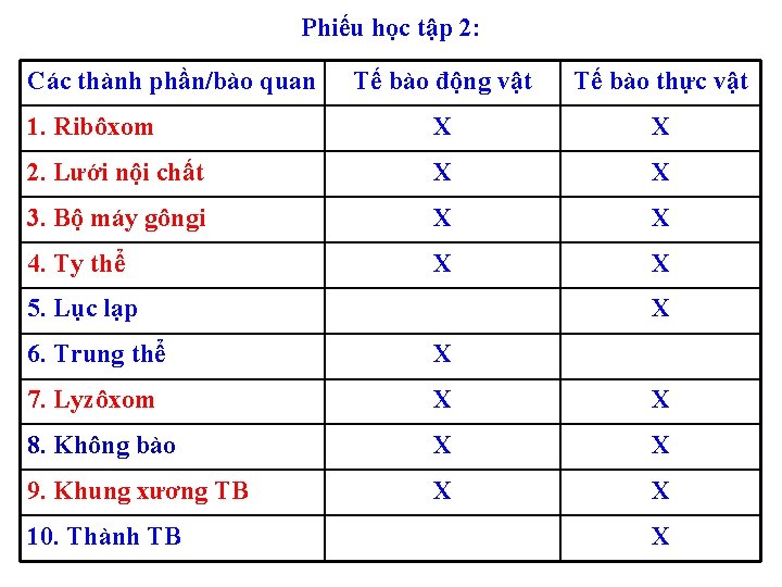 Phiếu học tập 2: Các thành phần/bào quan Tế bào động vật Tế bào