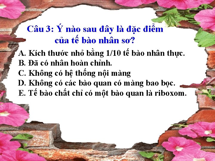 Câu 3: Ý nào sau đây là đặc điểm của tế bào nhân sơ?