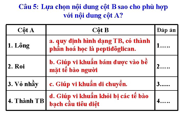 Câu 5: Lựa chọn nội dung cột B sao cho phù hợp với nội