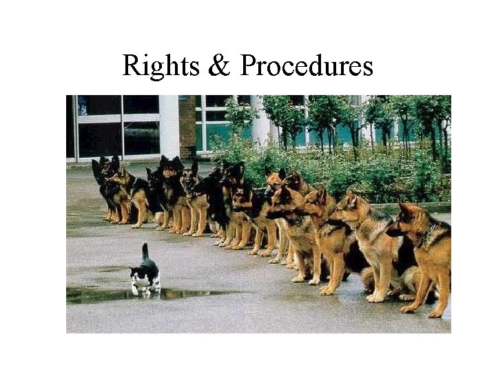 Rights & Procedures 