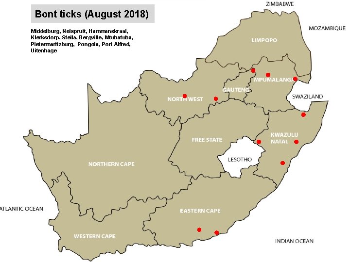 Bont ticks (August 2018) Middelburg, Nelspruit, Hammanskraal, Klerksdorp, Stella, Bergville, Mtuba, Pietermaritzburg, Pongola, Port