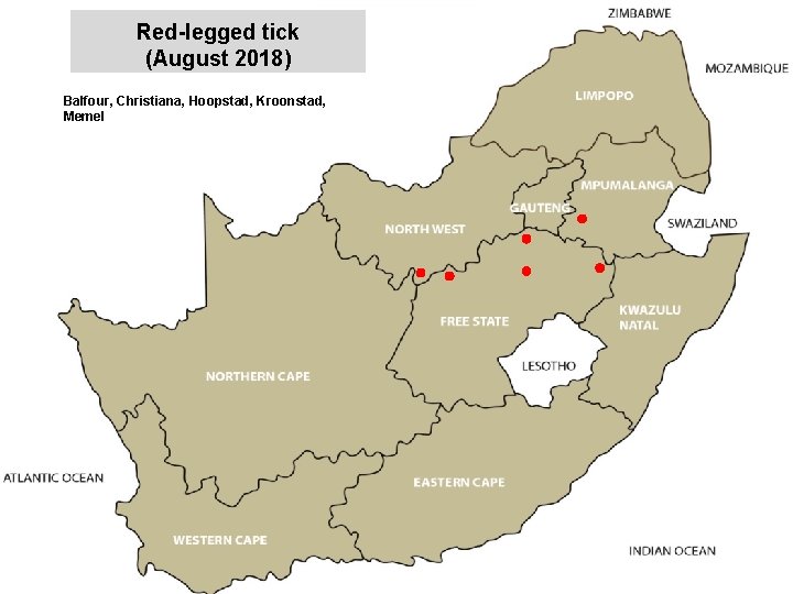 Red-legged tick (August 2018) Balfour, Christiana, Hoopstad, Kroonstad, Memel jkccff 