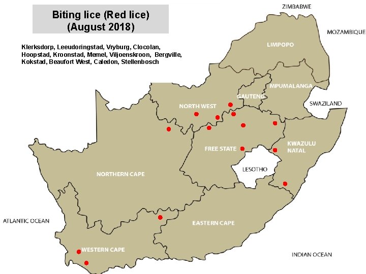 Biting lice (Red lice) (August 2018) jkccff Klerksdorp, Leeudoringstad, Vryburg, Clocolan, Hoopstad, Kroonstad, Memel,
