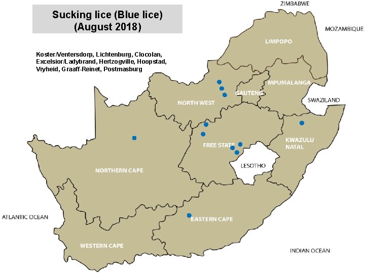 Sucking lice (Blue lice) (August 2018) jkccff Koster/Ventersdorp, Lichtenburg, Clocolan, Excelsior/Ladybrand, Hertzogville, Hoopstad, Vryheid,