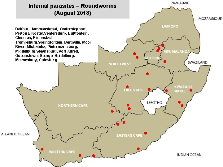 Internal parasites – Roundworms (August 2018) Balfour, Hammanskraal, Onderstepoort, Pretoria, Koster/Ventersdorp, Bultfontein, Clocolan, Kroonstad,