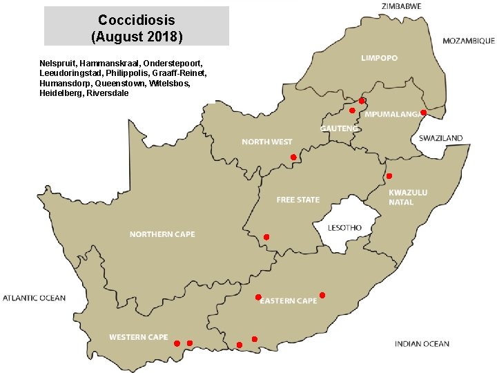 Coccidiosis (August 2018) Nelspruit, Hammanskraal, Onderstepoort, Leeudoringstad, Philippolis, Graaff-Reinet, Humansdorp, Queenstown, Witelsbos, Heidelberg, Riversdale