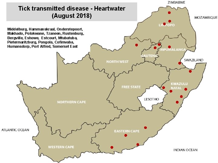 Tick transmitted disease - Heartwater (August 2018) Middelburg, Hammanskraal, Onderstepoort, Makhado, Polokwane, Tzaneen, Rustenburg,