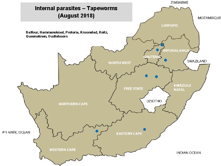 Internal parasites – Tapeworms (August 2018) jkccff Balfour, Hammanskraal, Pretoria, Kroonstad, Reitz, Queenstown, Oudtshoorn