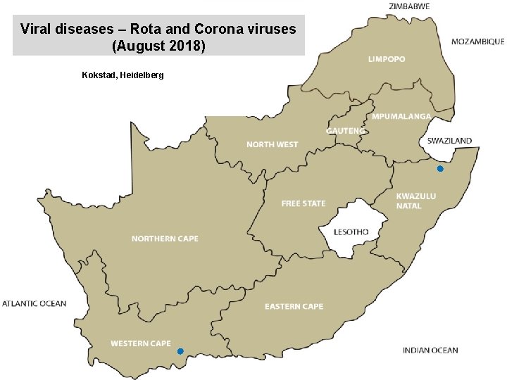 Viral diseases – Rota and Corona viruses (August 2018) kjkjnmn Kokstad, Heidelberg 