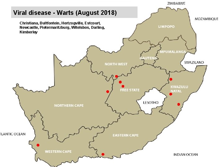 Viral disease - Warts (August 2018) kjkjnmn Christiana, Bultfontein, Hertzogville, Estcourt, Newcastle, Pietermaritzburg, Witelsbos,