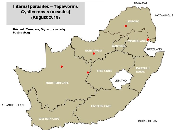 Internal parasites – Tapeworms Cysticercosis (measles) (August 2018) jkccff Nelspruit, Mokopane, Vryburg, Kimberley, Postmasburg