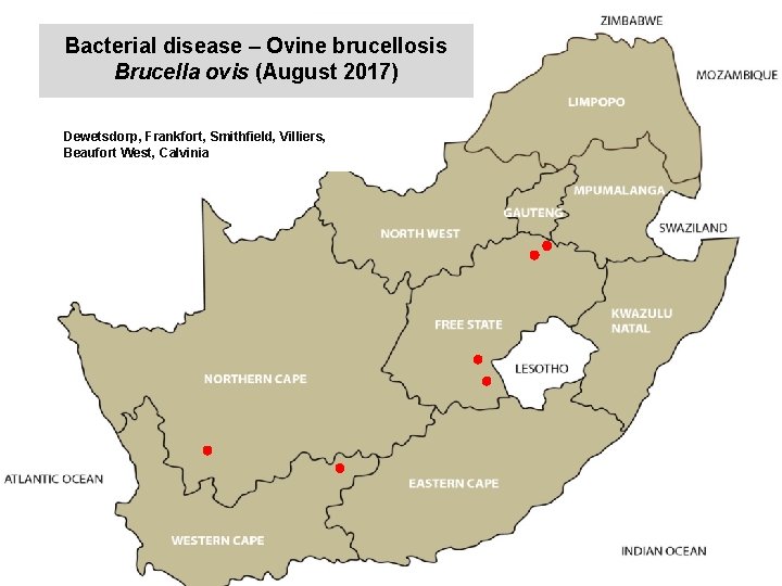 Bacterial disease – Ovine brucellosis Brucella ovis (August 2017) kjkjnmn Dewetsdorp, Frankfort, Smithfield, Villiers,