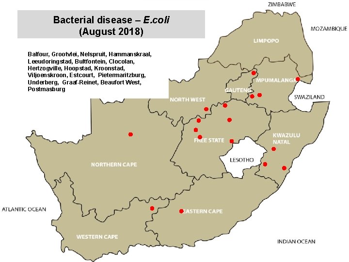 Bacterial disease – E. coli (August 2018) kjkjnmn Balfour, Grootvlei, Nelspruit, Hammanskraal, Leeudoringstad, Bultfontein,