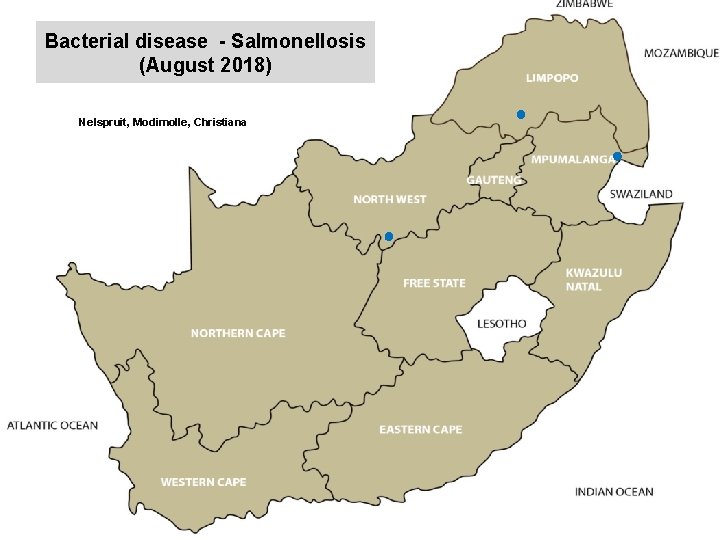 Bacterial disease - Salmonellosis (August 2018) kjkjnmn Nelspruit, Modimolle, Christiana 