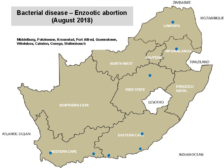 Bacterial disease – Enzootic abortion (August 2018) kjkjnmn Middelburg, Polokwane, Kroonstad, Port Alfred, Queenstown,