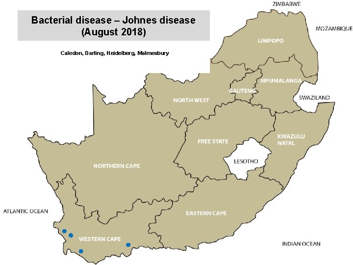 Bacterial disease – Johnes disease (August 2018) kjkjnmn Caledon, Darling, Heidelberg, Malmesbury 