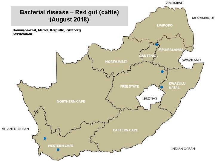 Bacterial disease – Red gut (cattle) (August 2018) kjkjnmn Hammanskraal, Memel, Bergville, Piketberg, Swellendam