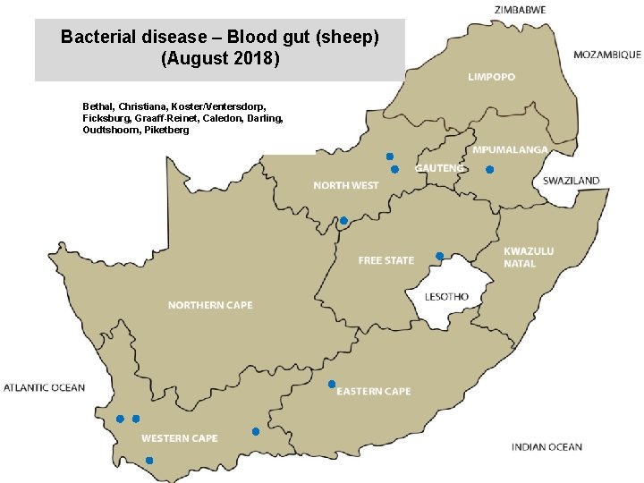 Bacterial disease – Blood gut (sheep) (August 2018) kjkjnmn Bethal, Christiana, Koster/Ventersdorp, Ficksburg, Graaff-Reinet,