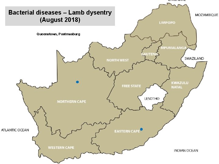 Bacterial diseases – Lamb dysentry (August 2018) kjkjnmn Queenstown, Postmasburg 