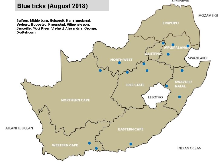 Blue ticks (August 2018) jkccff Balfour, Middelburg, Nelspruit, Hammanskraal, Vryburg, Hoopstad, Kroonstad, Viljoenskroon, Bergville,