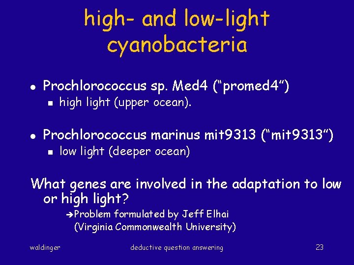 high- and low-light cyanobacteria l Prochlorococcus sp. Med 4 (“promed 4”) n l high