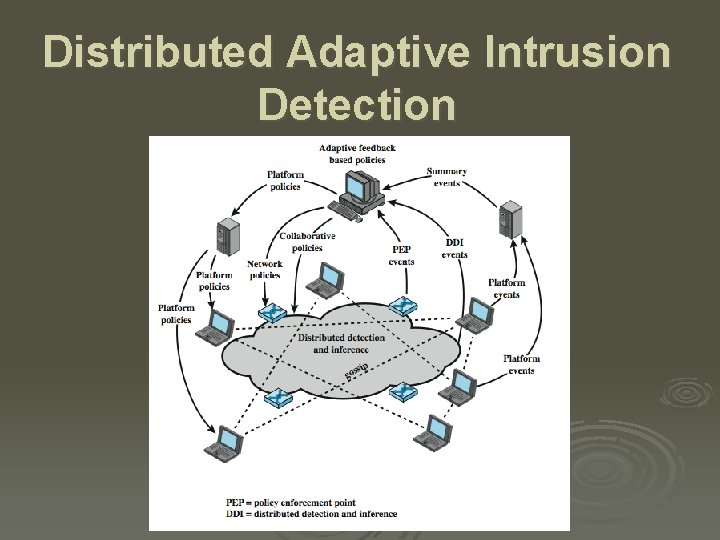 Distributed Adaptive Intrusion Detection 