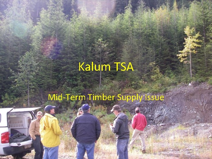 Kalum TSA Mid-Term Timber Supply Issue 