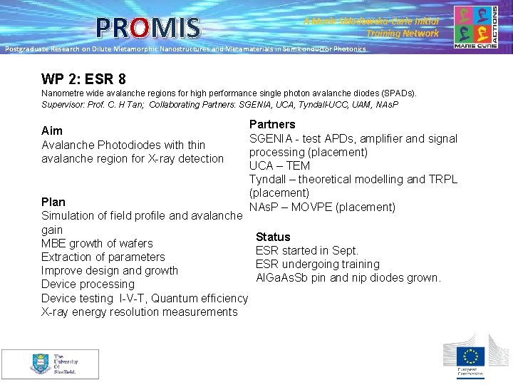 PROMIS A Marie Skłodowska-Curie Initial Training Network Postgraduate Research on Dilute Metamorphic Nanostructures and