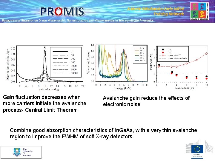 PROMIS A Marie Skłodowska-Curie Initial Training Network Postgraduate Research on Dilute Metamorphic Nanostructures and