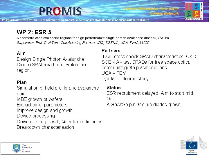 PROMIS A Marie Skłodowska-Curie Initial Training Network Postgraduate Research on Dilute Metamorphic Nanostructures and