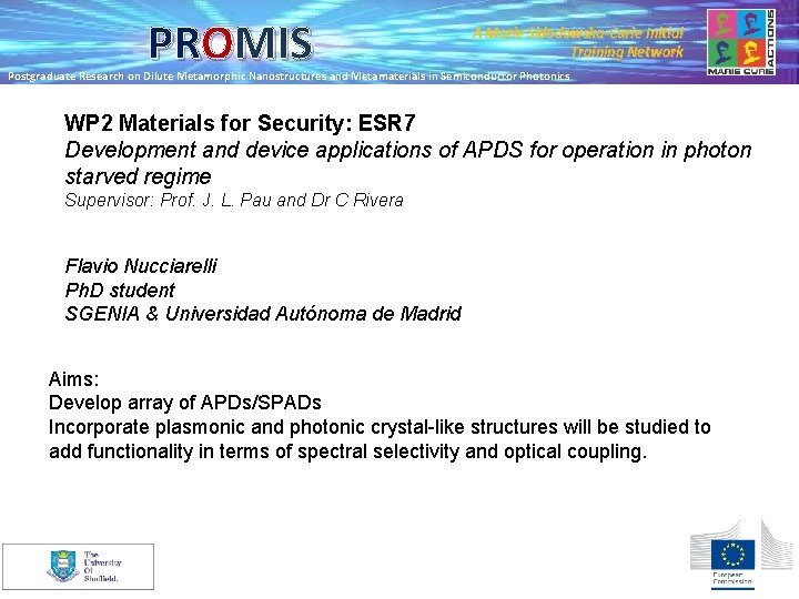 PROMIS A Marie Skłodowska-Curie Initial Training Network Postgraduate Research on Dilute Metamorphic Nanostructures and