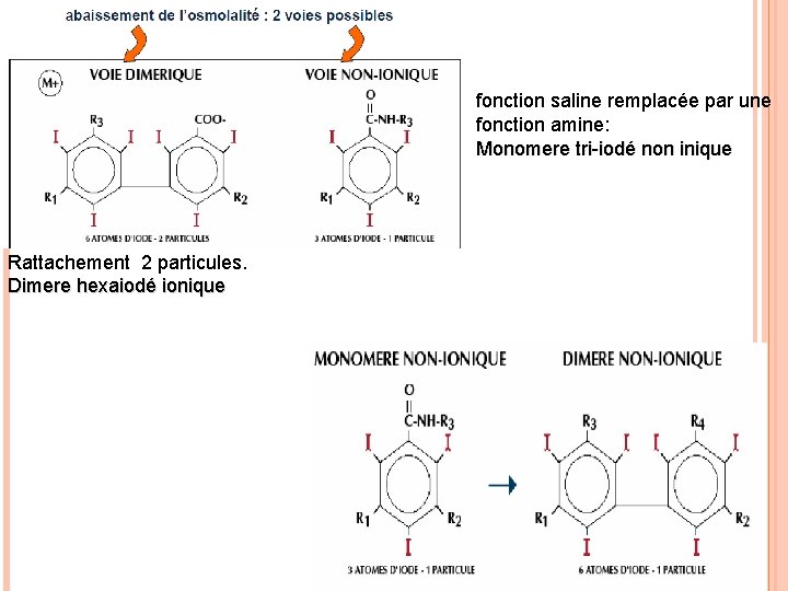 fonction saline remplacée par une fonction amine: Monomere tri-iodé non inique Rattachement 2 particules.