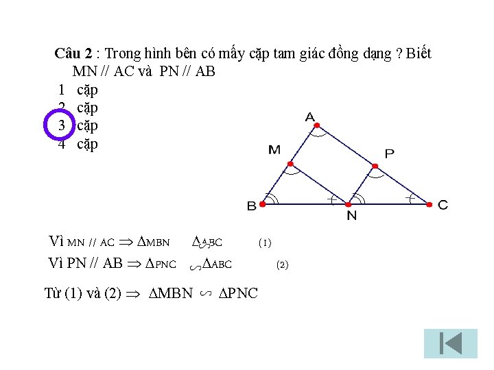Câu 2 : Trong hình bên có mấy cặp tam giác đồng dạng ?
