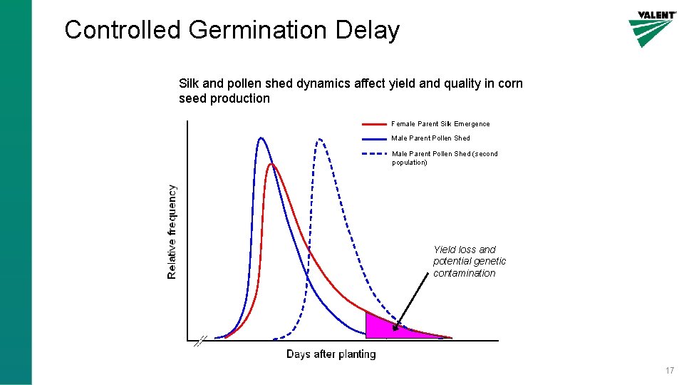 Controlled Germination Delay Silk and pollen shed dynamics affect yield and quality in corn