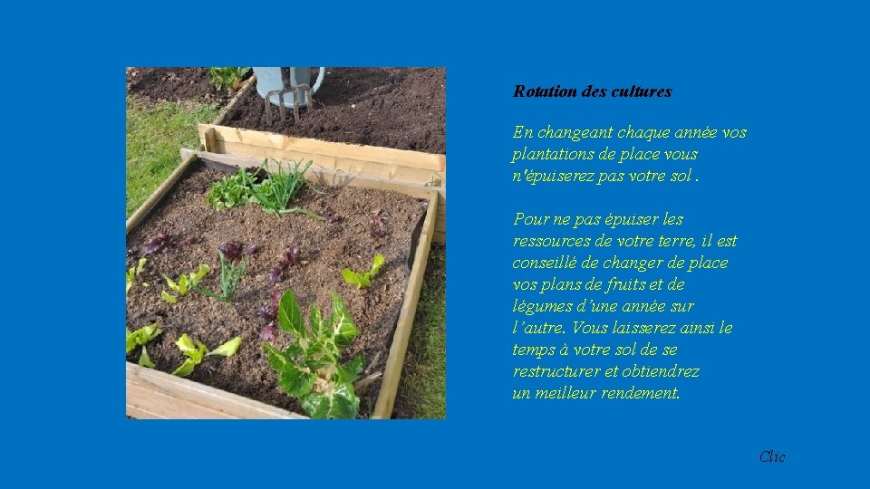 Rotation des cultures En changeant chaque année vos plantations de place vous n'épuiserez pas