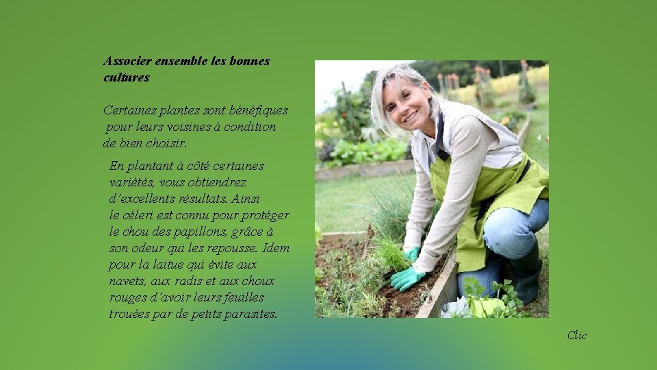 Associer ensemble les bonnes cultures Certaines plantes sont bénéfiques pour leurs voisines à condition