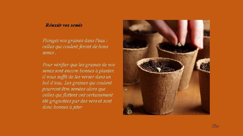 Réussir vos semis Plongez vos graines dans l'eau : celles qui coulent feront de