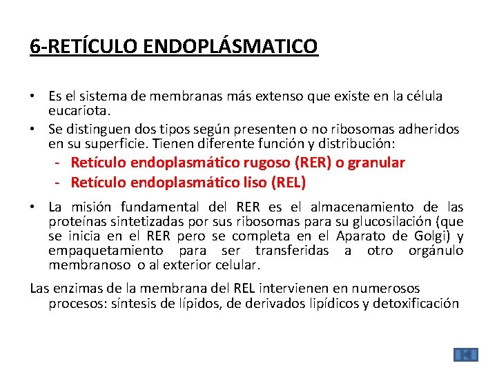 6 -RETÍCULO ENDOPLÁSMATICO • Es el sistema de membranas más extenso que existe en