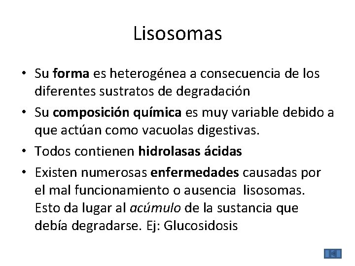 Lisosomas • Su forma es heterogénea a consecuencia de los diferentes sustratos de degradación