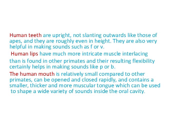 Human teeth are upright, not slanting outwards like those of apes, and they are Human teeth are upright, not slanting outwards like those of apes, and they are
