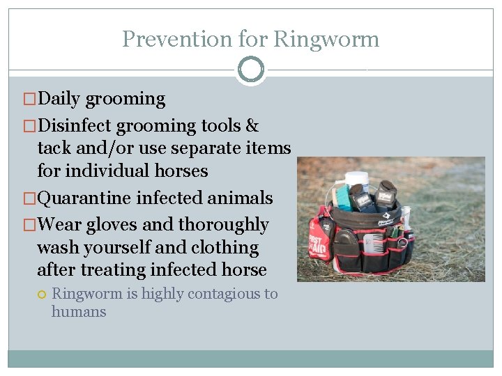 Prevention for Ringworm �Daily grooming �Disinfect grooming tools & tack and/or use separate items