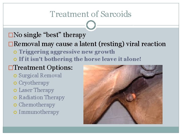 Treatment of Sarcoids �No single “best” therapy �Removal may cause a latent (resting) viral