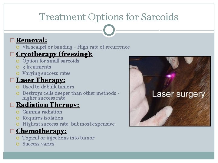 Treatment Options for Sarcoids � Removal: Via scalpel or banding - High rate of