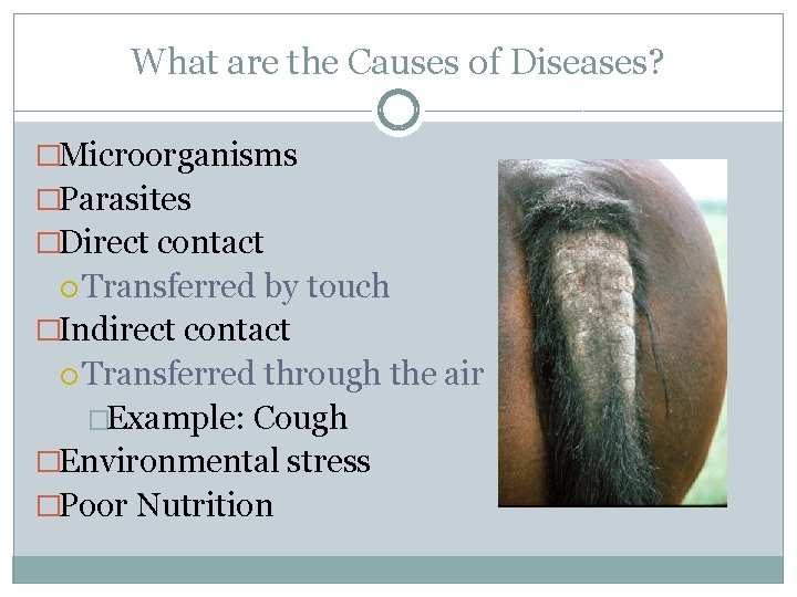 What are the Causes of Diseases? �Microorganisms �Parasites �Direct contact Transferred by touch �Indirect