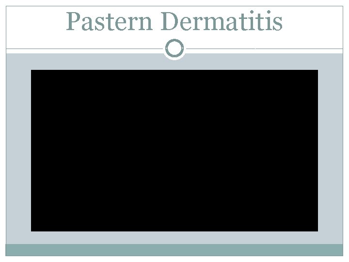 Pastern Dermatitis 