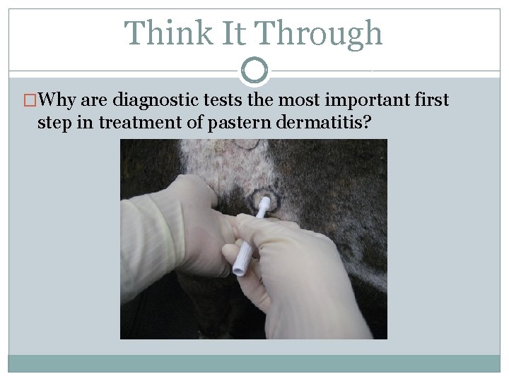 Think It Through �Why are diagnostic tests the most important first step in treatment