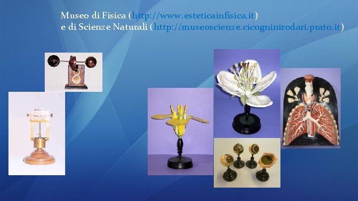 Museo di Fisica (http: //www. esteticainfisica. it) e di Scienze Naturali (http: //museoscienze. cicogninirodari.