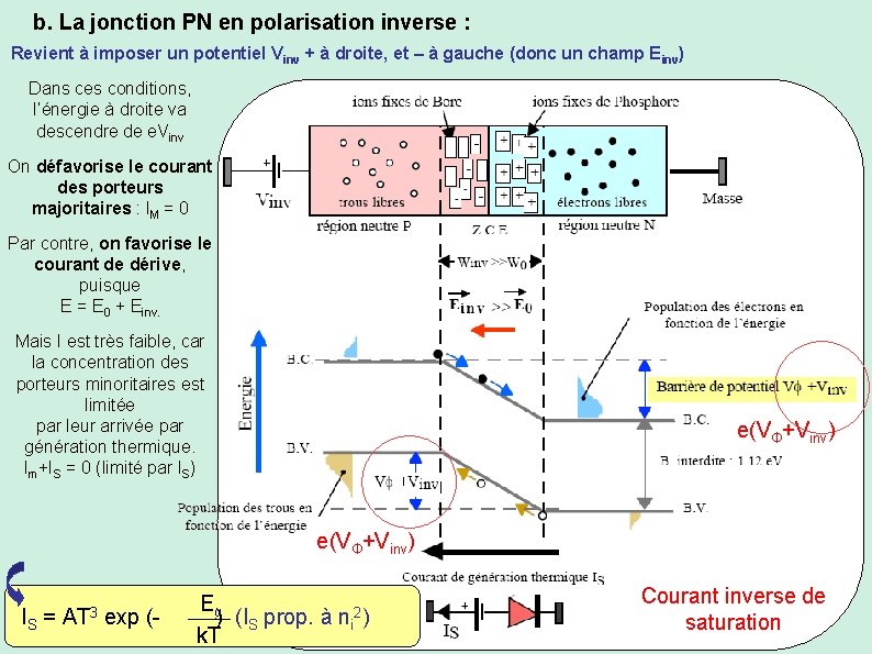 b. La jonction PN en polarisation inverse : Revient à imposer un potentiel Vinv